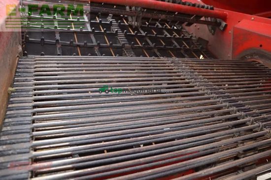 Cosechadora - arrancadora de patata - Grimme - se 260 ub