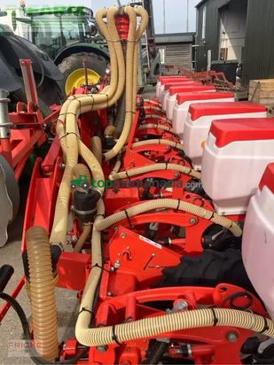 Sembradora monograno mecanica - Maschio - manta 8-reihig