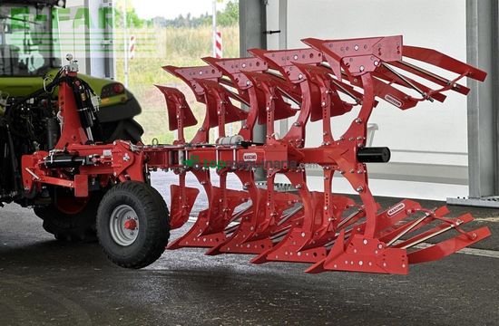 Arado - Maschio - unico m passo 4+ non stop