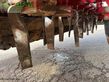 Combinado de siembra - Horsch - horsch