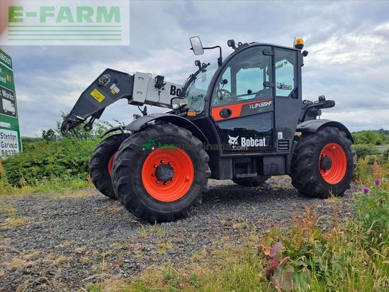 Telescopica - Bobcat - TL34-65HF
