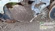 Equipamiento / accesorio - Volmer - strip-till 8-reihg