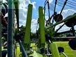 Henificador - Claas - liner 4900 business