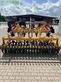 Cultivador - Agrisem - agromulch gold