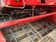 Cosechadora - arrancadora de patata - Grimme - evo 280 clod sep ub