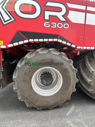 Cosechadora de Cereal - Grimme - rexor 6300 platinum