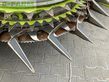 Cabezal - Claas - orbis 750 transportsystem