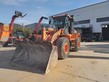 Palas cargadora DOOSAN DL250-5