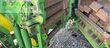 Cosechadora de Cereal - John Deere - 8500