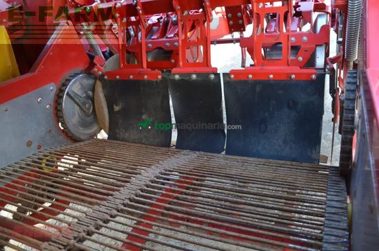 Cosechadora - arrancadora de patata - Grimme - evo 260 clodsep