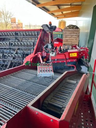 Cosechadora - arrancadora de patata - Grimme - se260