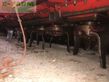 Grada rotativa - Kuhn - hr4503dr