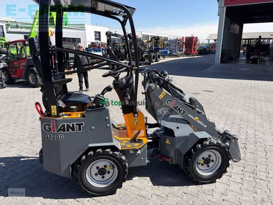 Telescopica - Giant - 1200 mit weidemann hv