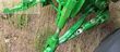 Tractor agrícola - John Deere - 7R 330