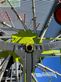 Rastrillo - Claas - liner 2800