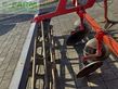 Cultivador - Maschio - flügelschargrubber