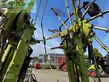 Rastrillo - Claas - liner 3600