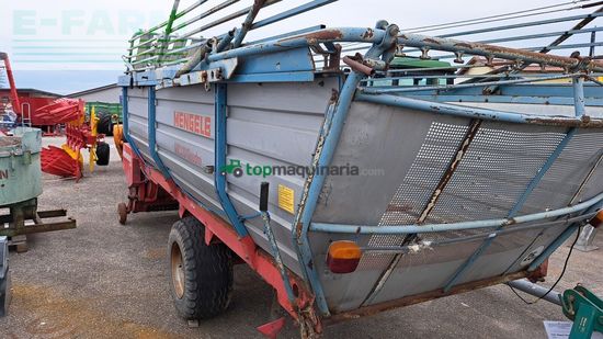 Cinta transportadora de forraje - Mengele - lw 310 quadro 6 messer