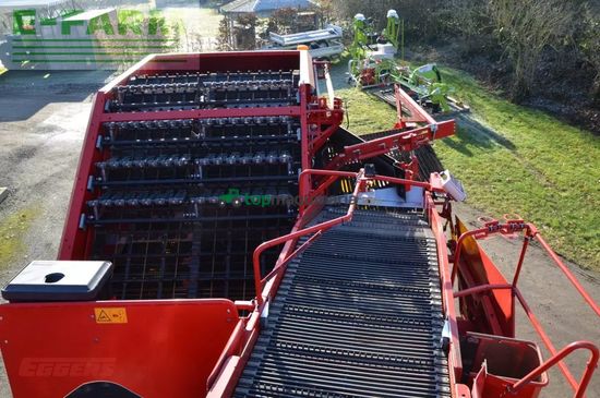 Cosechadora - arrancadora de patata - Grimme - evo 290 easysep