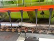 Cabezal - Claas - maxflex 620
