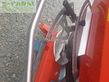 Esparcidor - Maschio - primo m 218