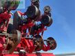 Sembradora monograno mecanica - Horsch - maestro 9.75 cv