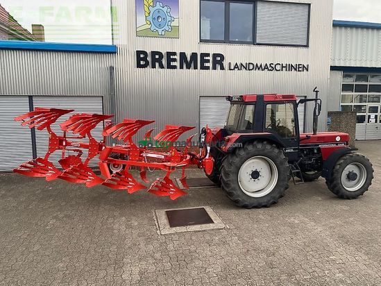 Arado - Maschio - unico m passo 4+