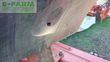Arado - Gregoire Besson - ry7 514160