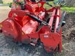 Grada rotativa - Maschio - g 275 mit zahnpackerwalze