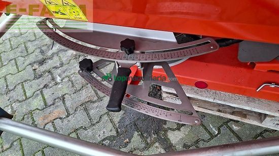 Esparcidor - Maschio - primo m 213