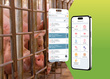 PIG´UP de Isagri PROGRAMA INFORMATICO PARA EL SECTOR PORCINO