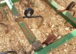 Vibrocultivador - Koskilde de 45 brazos de 20x20