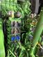 Tractor agrícola - John Deere - 6r250