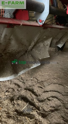 Rastrillo - Lely - hibiscus