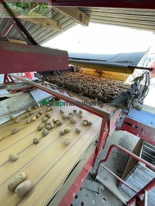 Cosechadora - arrancadora de patata - Grimme - rh24-60 combi