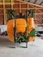 Atomizador - Amazone - uf 1201 feldspritze