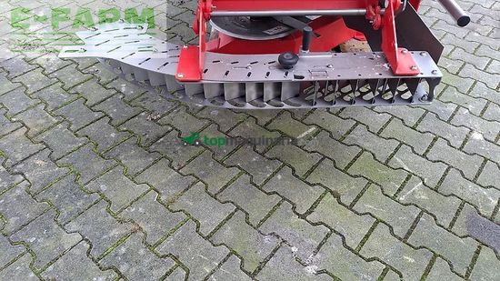 Esparcidor - Maschio - primo m 213