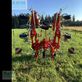 Henificador -  - hit 8.81