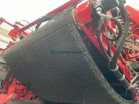 Cosechadora - arrancadora de patata - Grimme - se260 terra