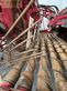 Cosechadora de Cereal - Grimme - rexor 6300 platinum