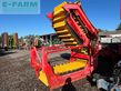 Cosechadora - arrancadora de patata - Grimme - gt 170