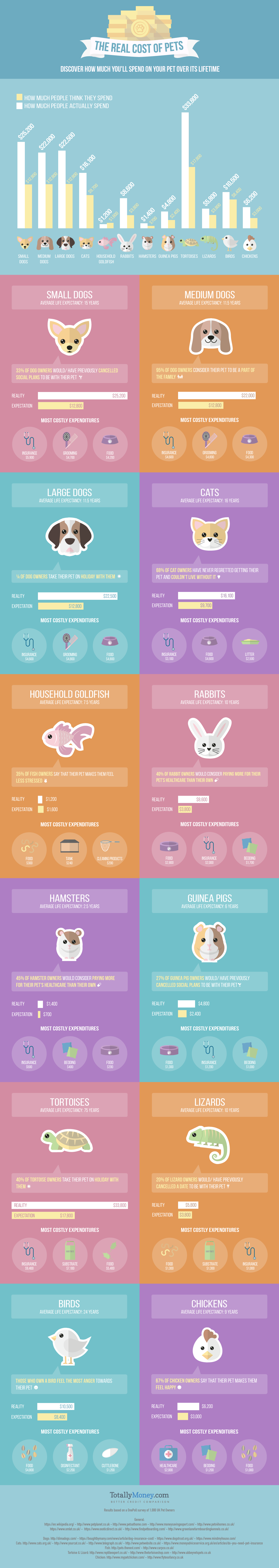 The Real Cost of Christmas Pets infographic