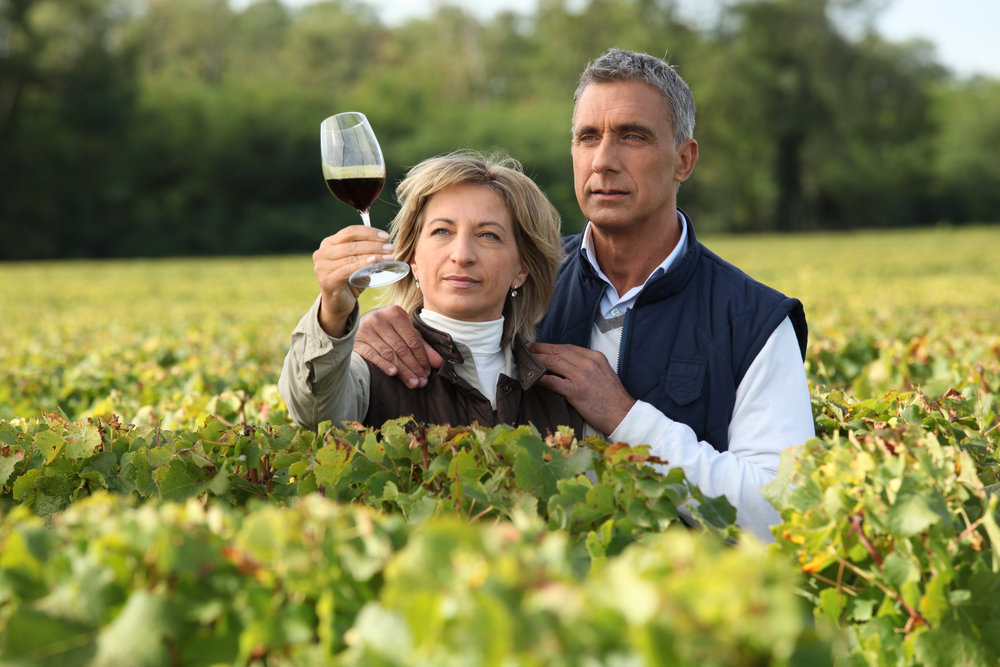 wine-tours-germany