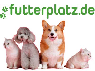 getreidefreies nassfutter für hunde RINTI Gold Fasan – Nassfutter getreidefrei für Hunde main image 1