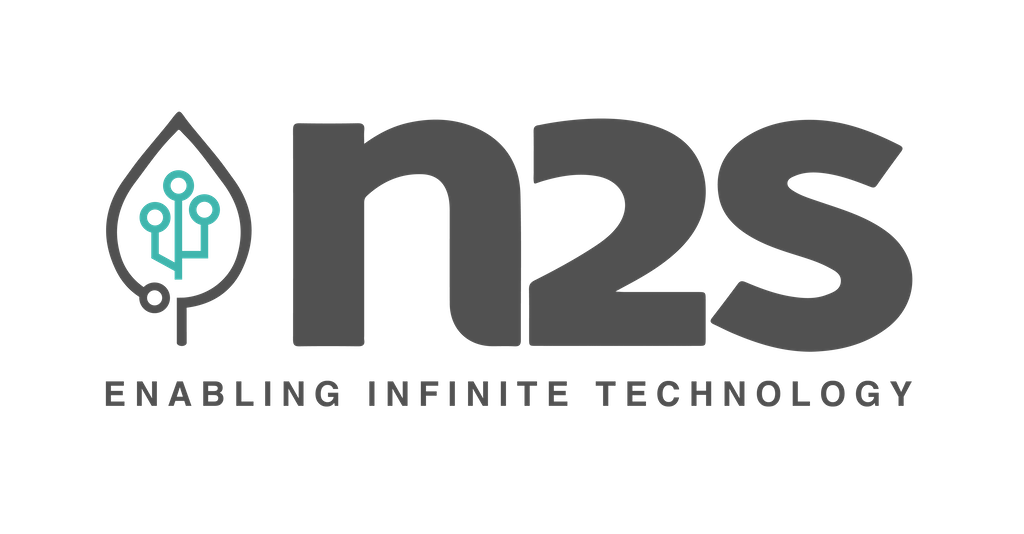 N2S