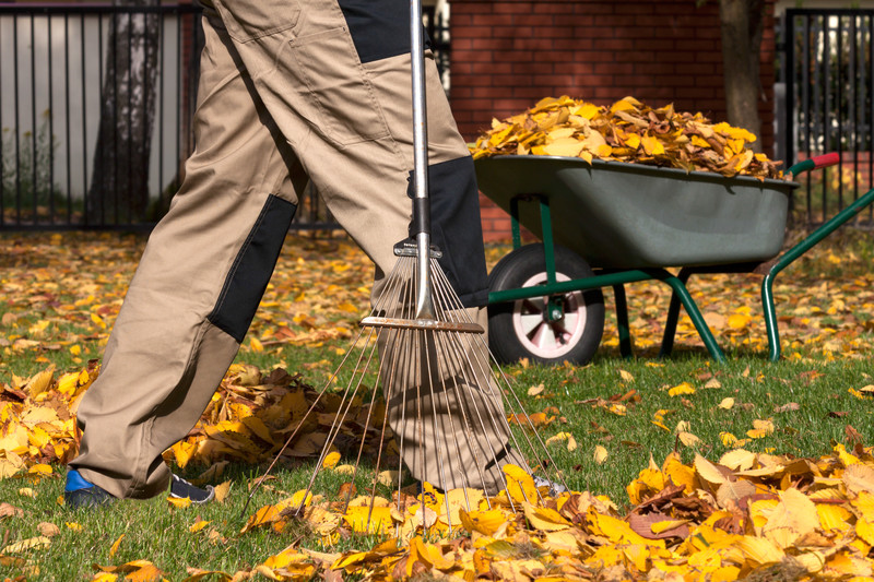 4 Seasons Garden Services Reviews | Read Customer Service Reviews of