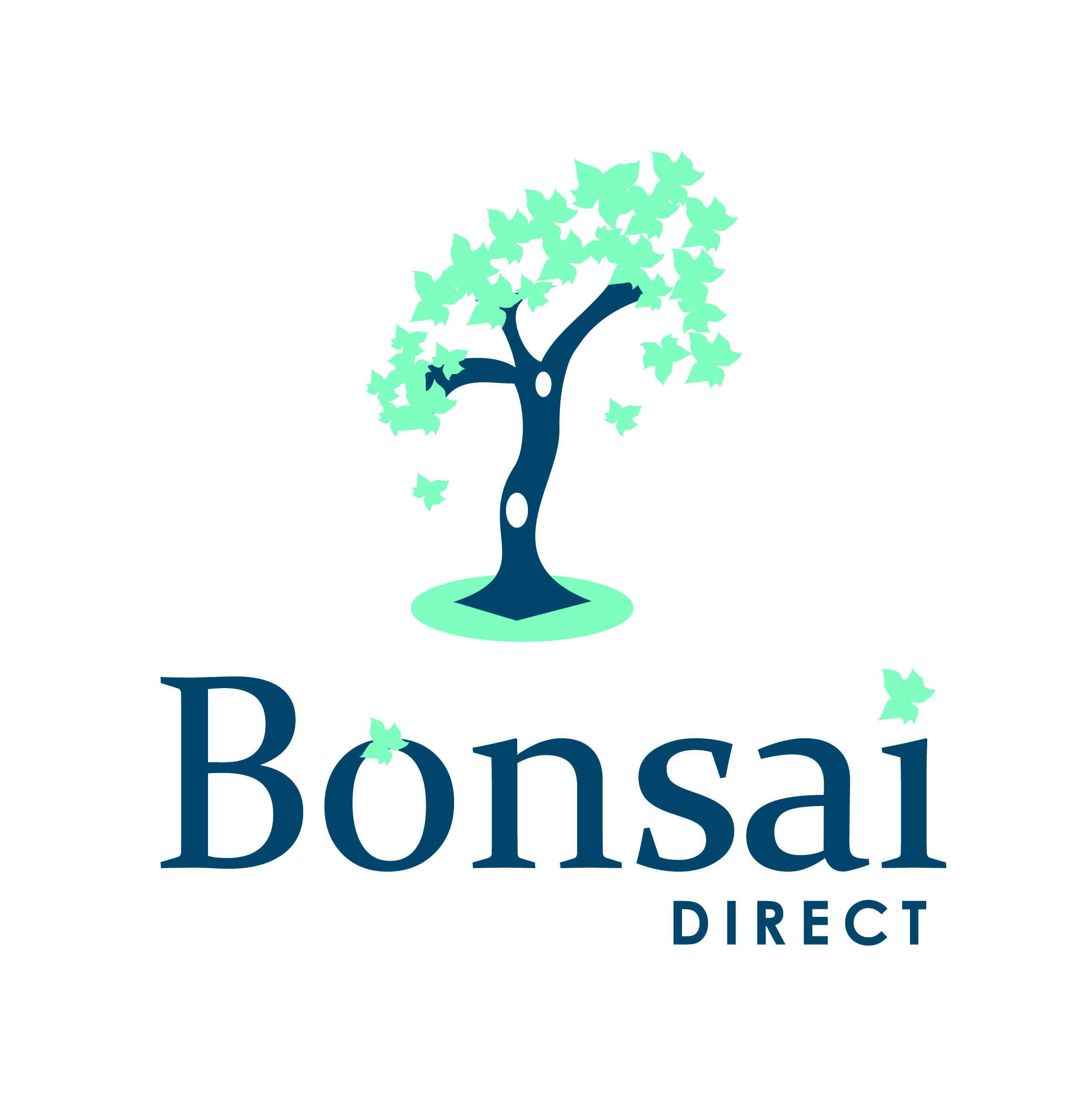 ginseng bonsai giftig Ficus microcarpa 'Ginseng'