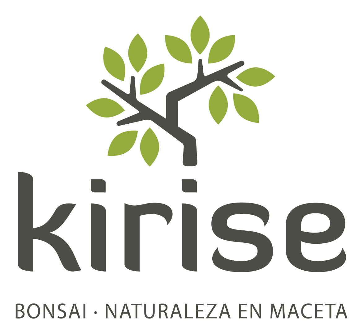 Kirise Reviews | Read Customer Service Reviews of kirise.com