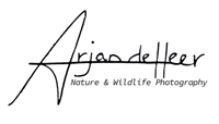 Arjan de Heer Photography 
