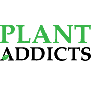 Plant Addicts Reviews | Read Customer Service Reviews of plantaddicts.com